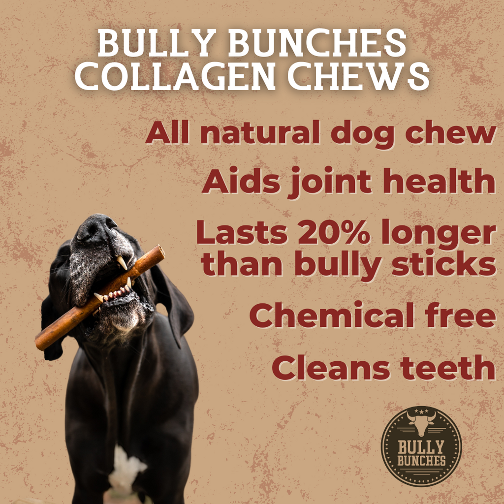 Bully Bunches 6 Inch Beef Collagen Stick