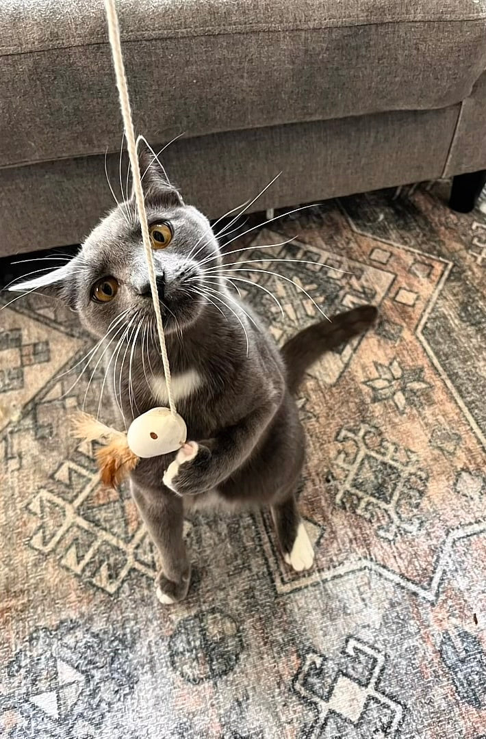 Milo