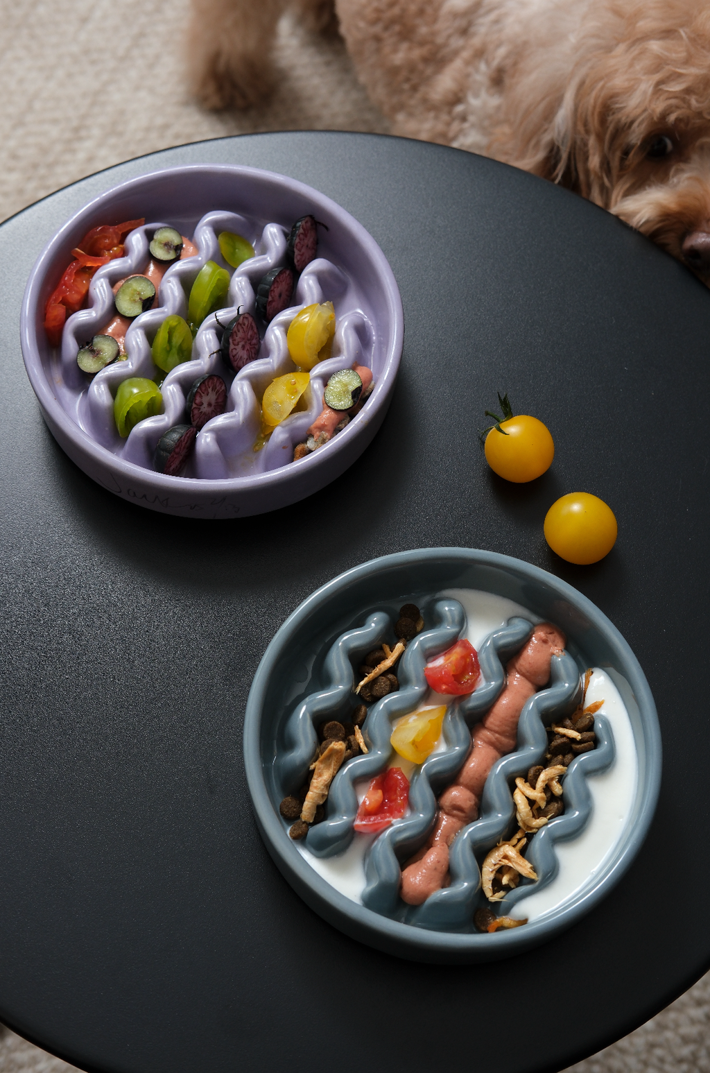 Slow Feeder Dog Bowl (Macaroni)