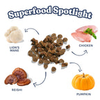 Chicken Mini Training Treat for Dogs