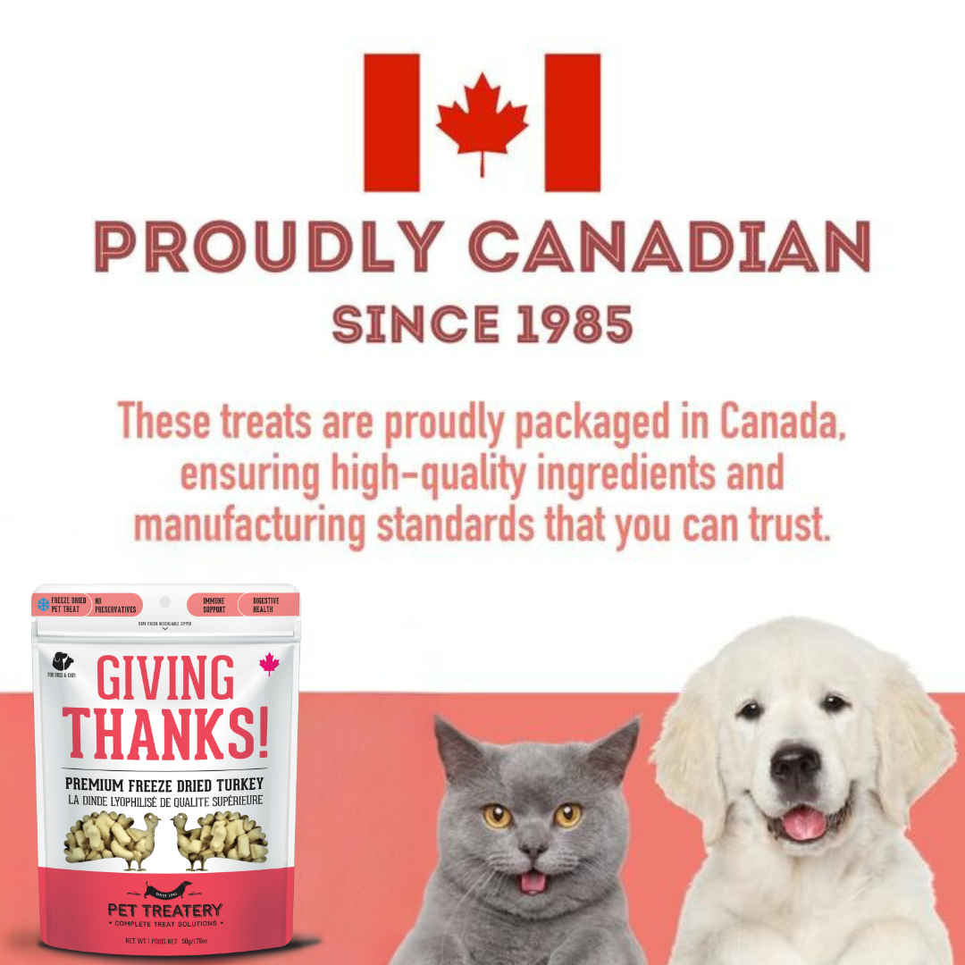 Turkey Freeze-Dried Pet Treats: High-Protein & Nutritious
