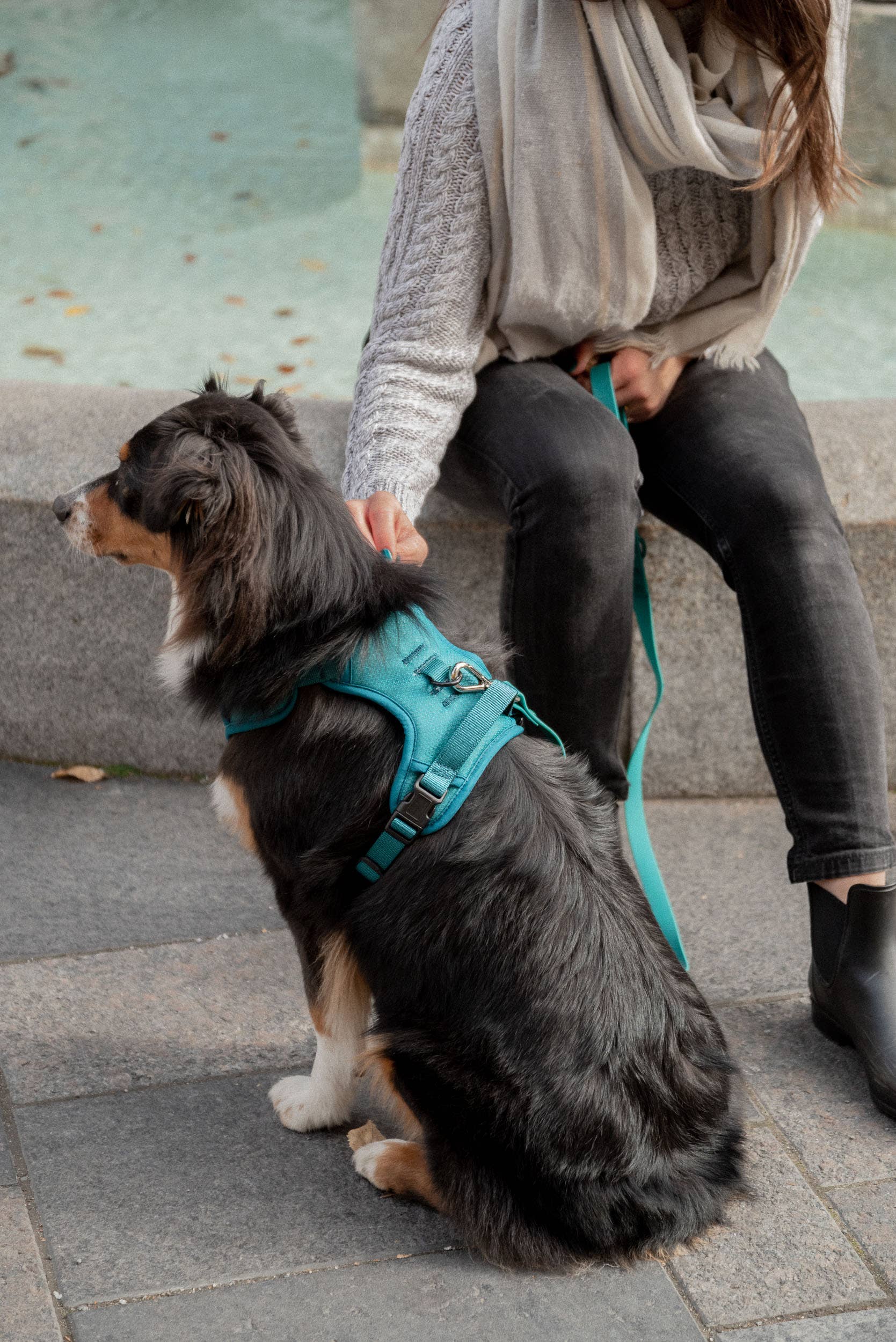 Mojito Classic 2.0 Harness