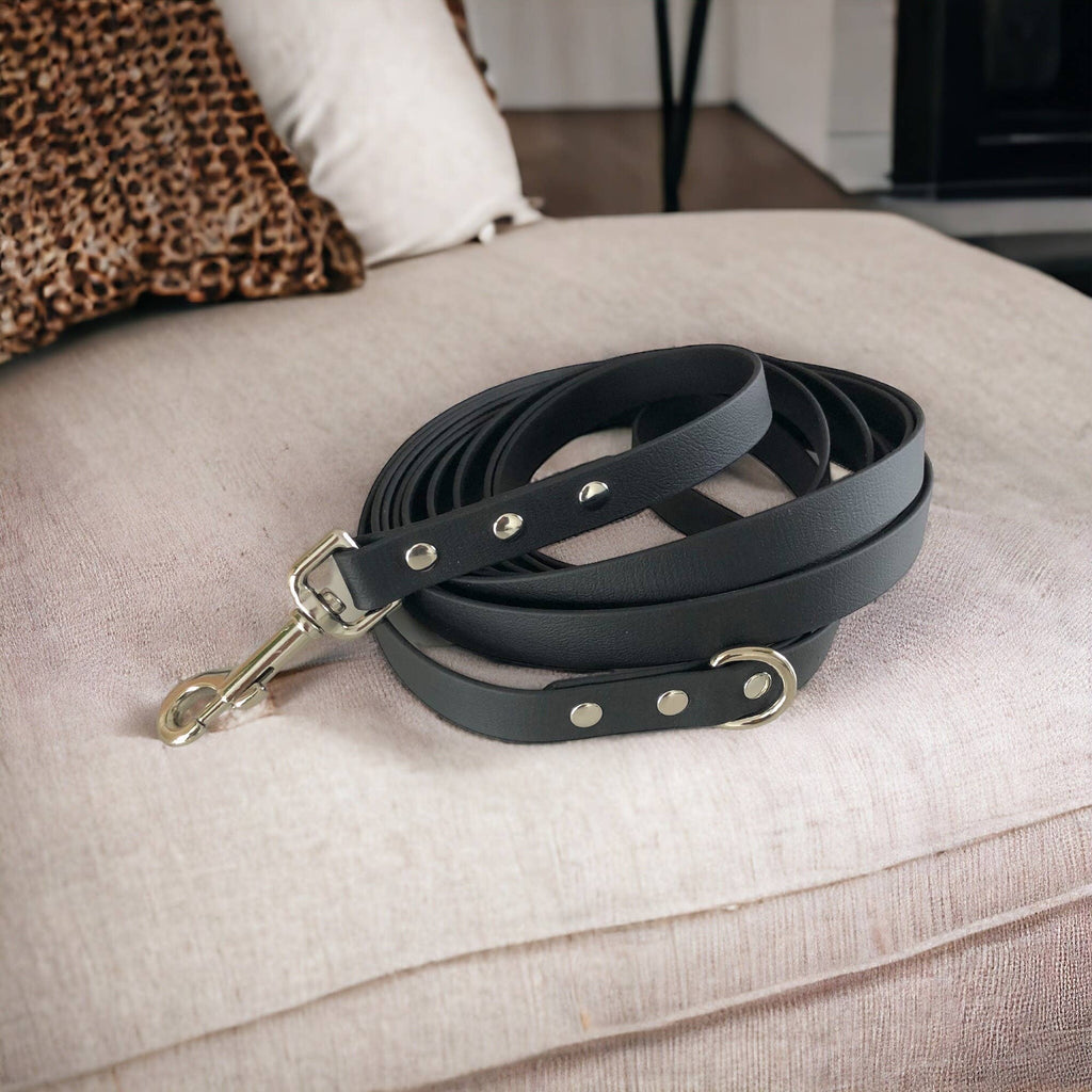 BioThane Dog Leash (5') | (5 options)