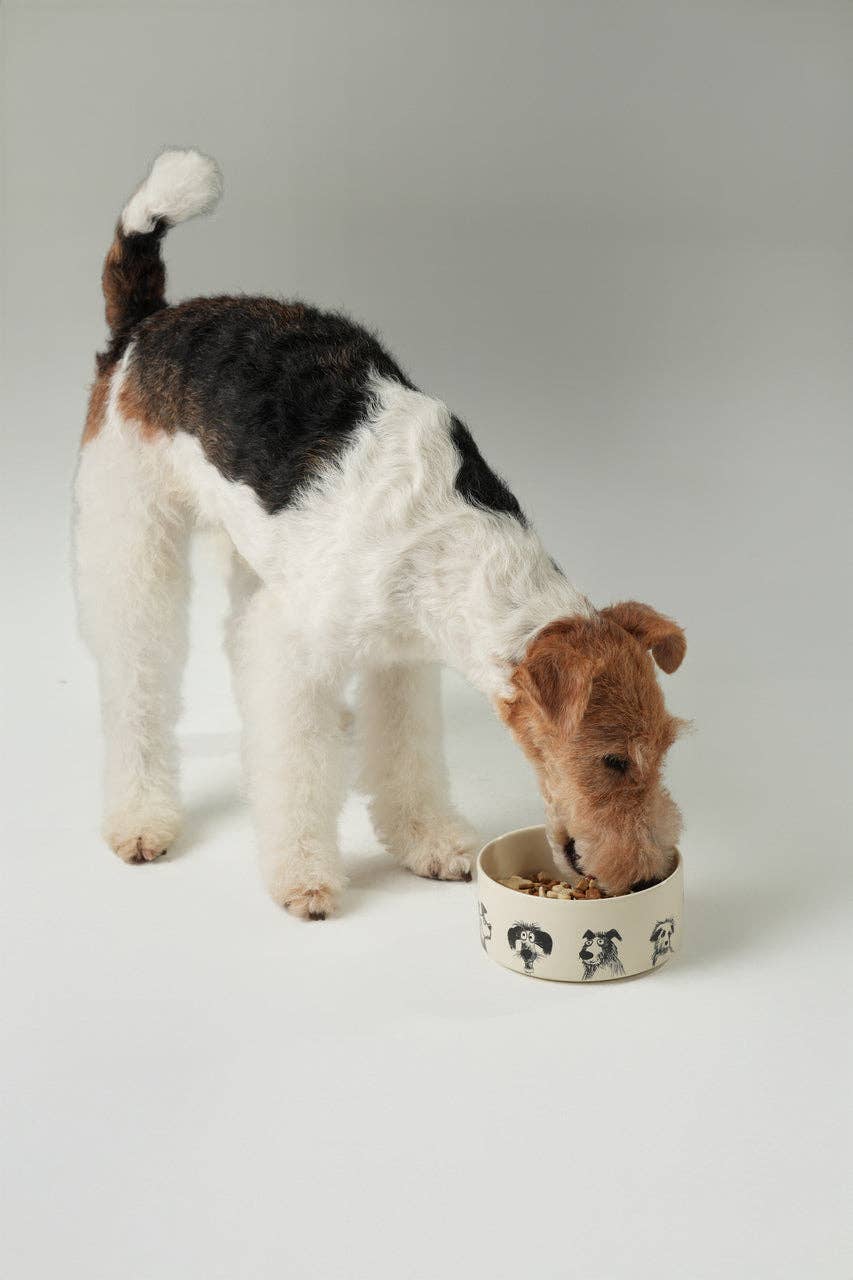 Ceramic Pet Bowl – Set of 2