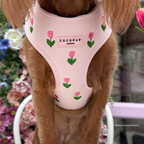Cocopup London Tulip Tails Adjustable Dog Harness