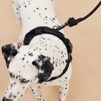 Rover Harness – Sand