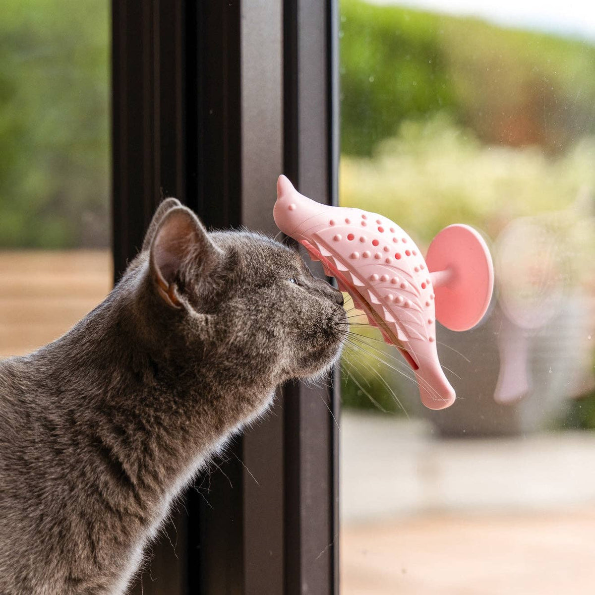 The Perch – Suction Cup Treat Puzzle Toy for Cats