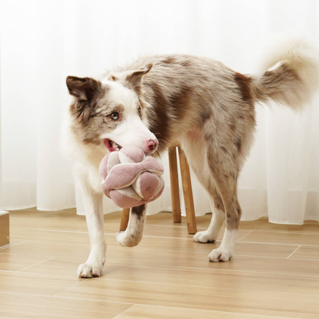 Monti silent snuffle ball in purple – 8 treat slots, pulls apart for washing | LittleLeashes
