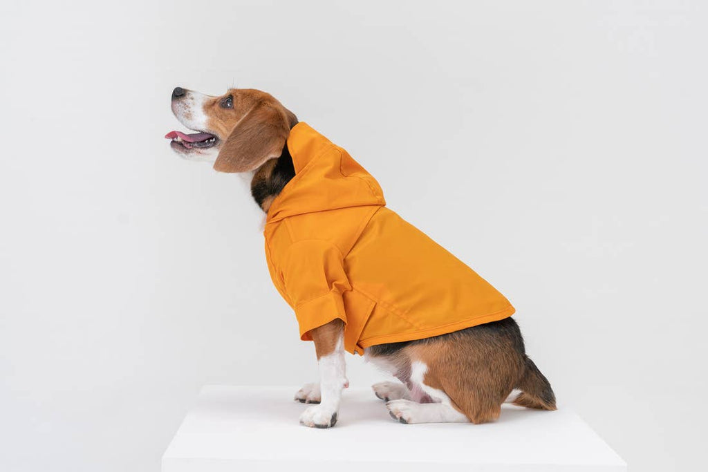 Tribeca Adjustable Velcro Raincoat