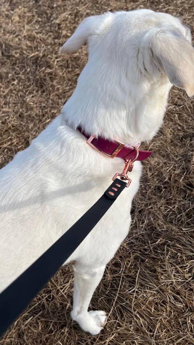 BioThane Dog Leash (5') | (5 options)