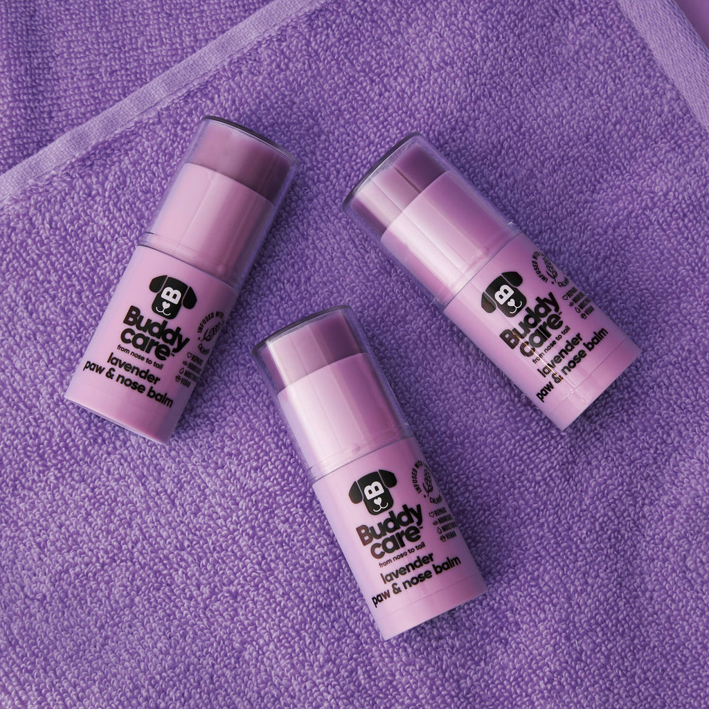 Paw & Nose Balm - Lavender - 0.75fl oz