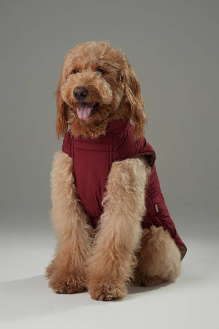 Reversible Dog Vest Jacket -  Red Brown