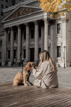 Mojito Classic 2.0 Harness