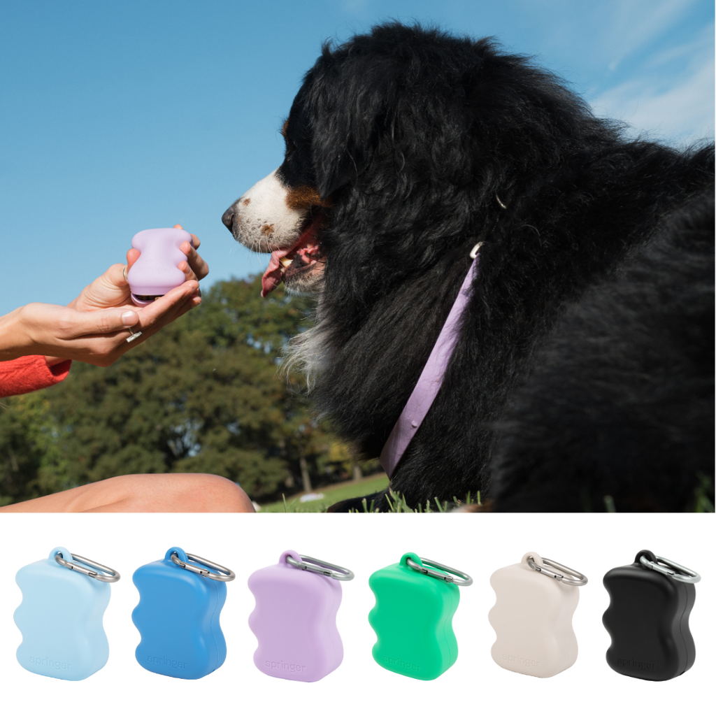 Silicone Dog Treat Dispenser
