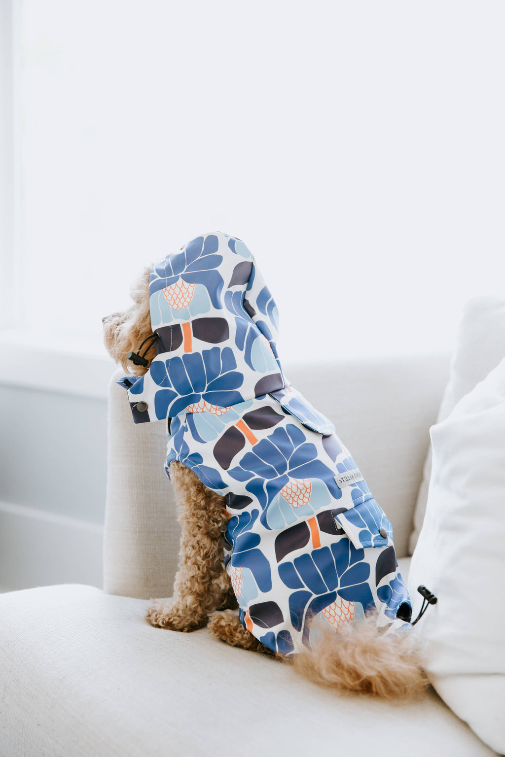 Stella & Oscar Floral Dog Rain Jacket