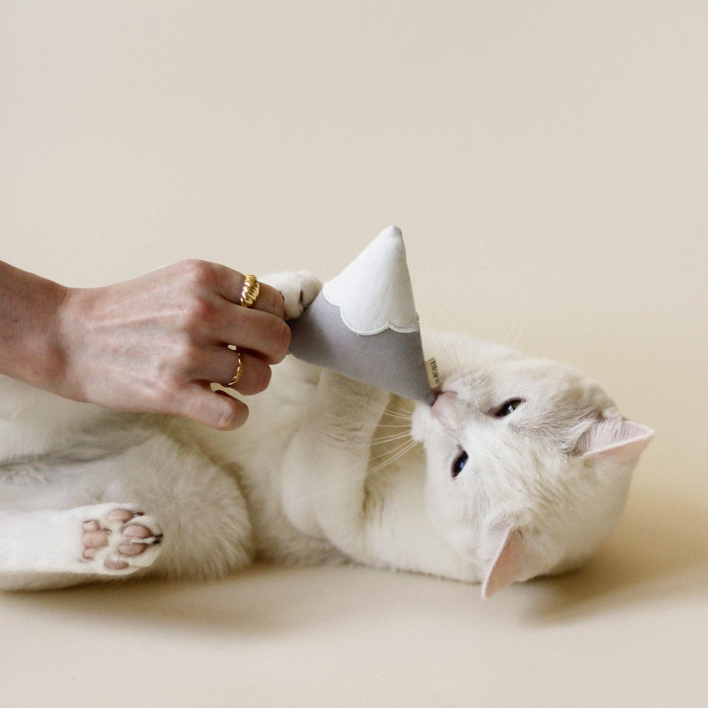 Snowy Mountain Catnip Cat Toy