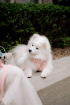 Classic 2.0 Harness Lychee