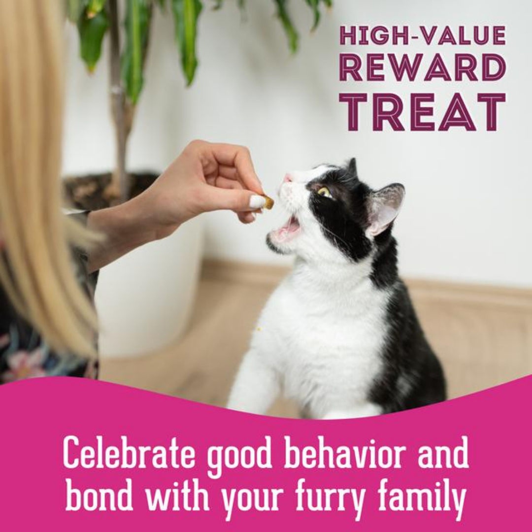 Wild Salmon Freeze-Dried Pet Treats: High-Protein & Natural