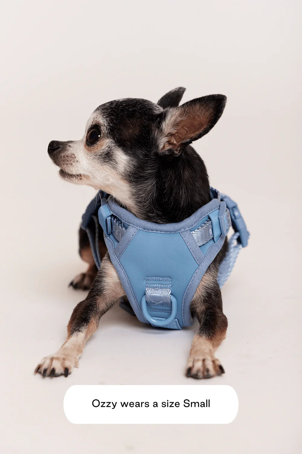 Easy Fit Dog Harness