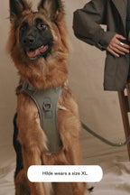 Easy Fit Dog Harness