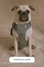Easy Fit Dog Harness