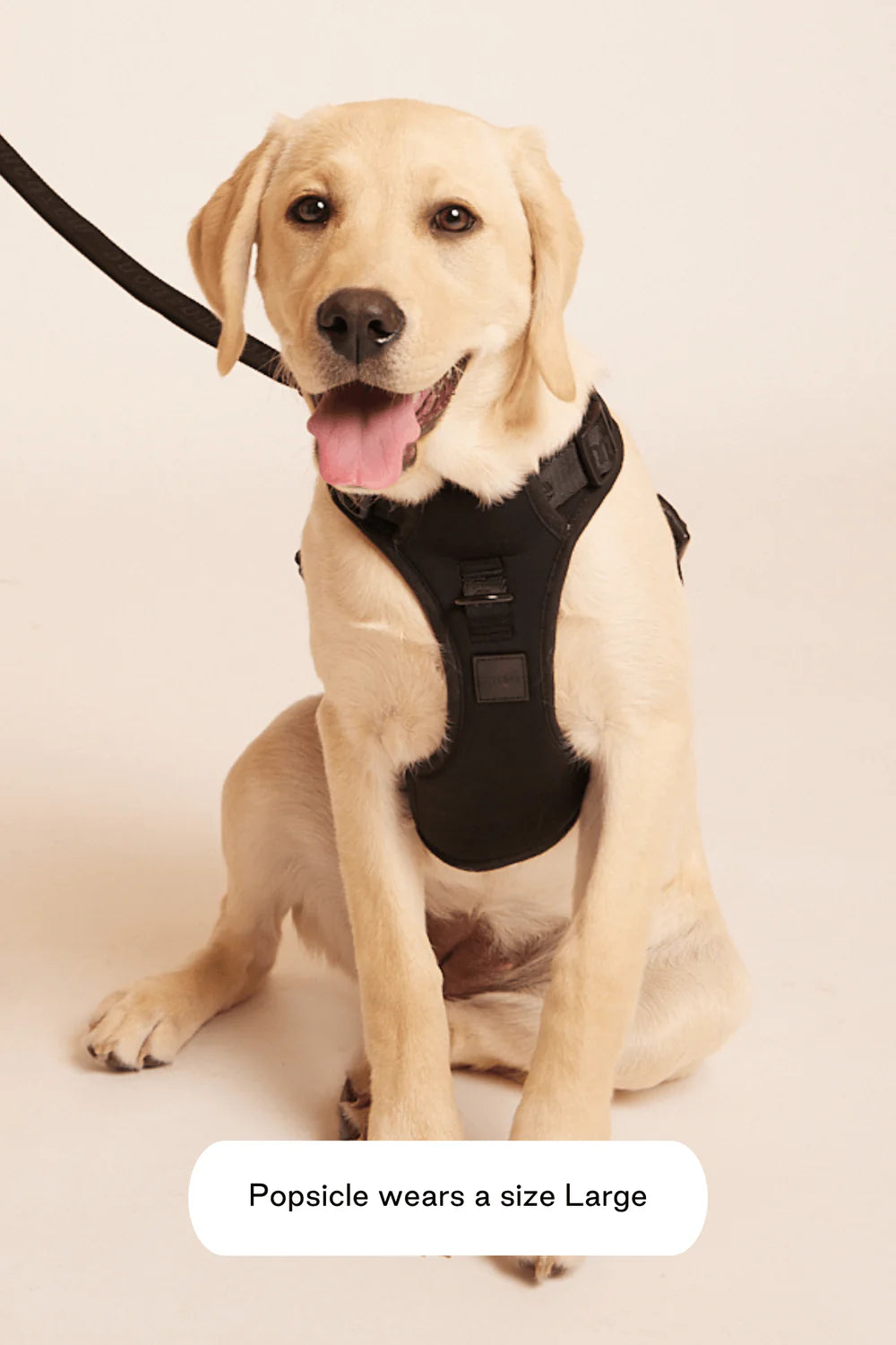 Easy Fit Dog Harness