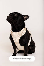 Easy Fit Dog Harness