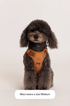 Easy Fit Dog Harness