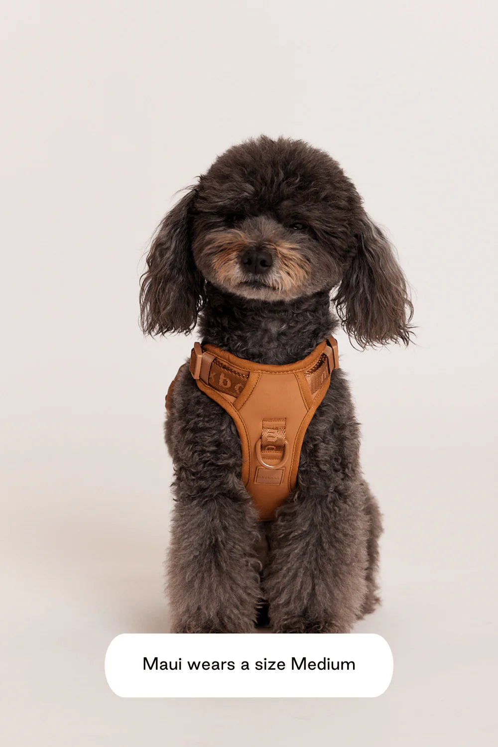 Easy Fit Dog Harness