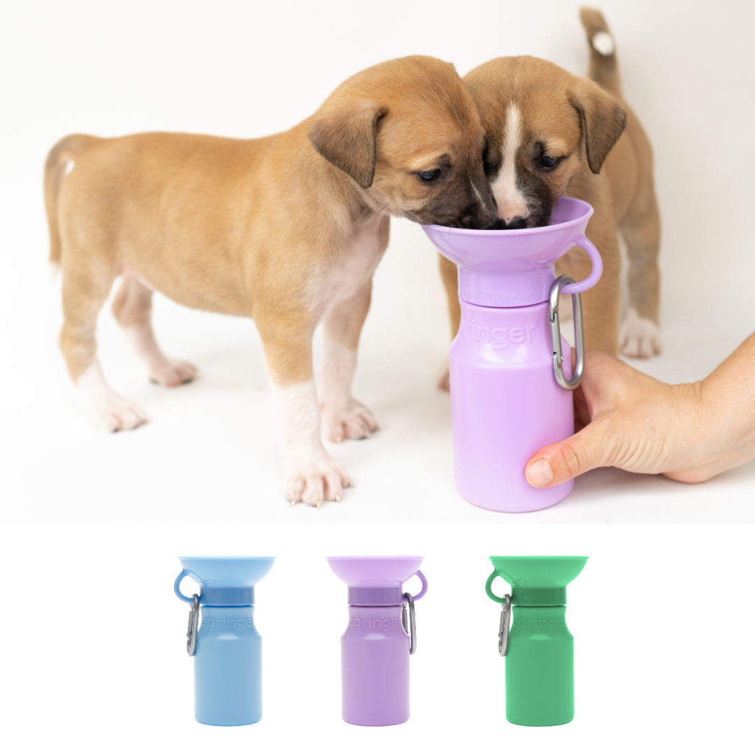 Dog Travel Water Bottle - 15oz Mini