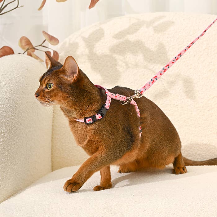 Cat Harness & Leash Set | Cherry