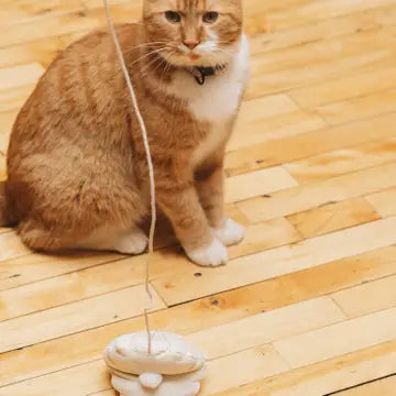 ECOCAT Seashell Catnip Cat Toy