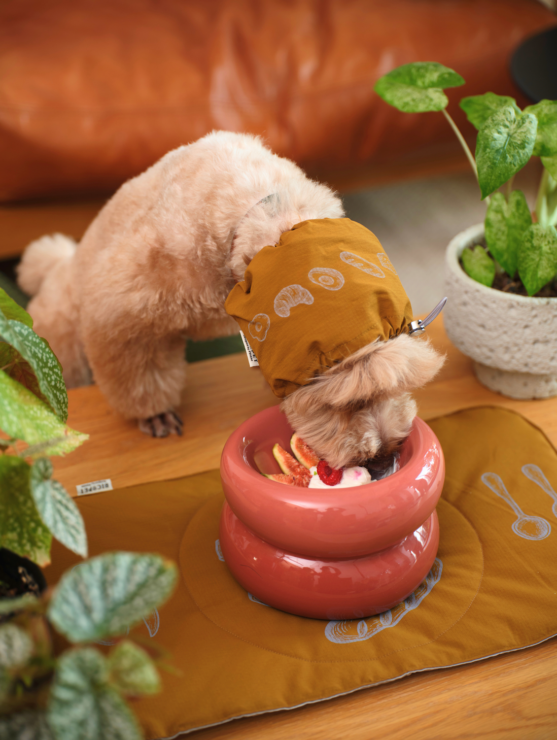 Bistro Snood Dog Ear Wrap