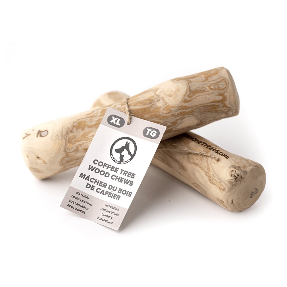 Extra-Large Coffee Wood Chew