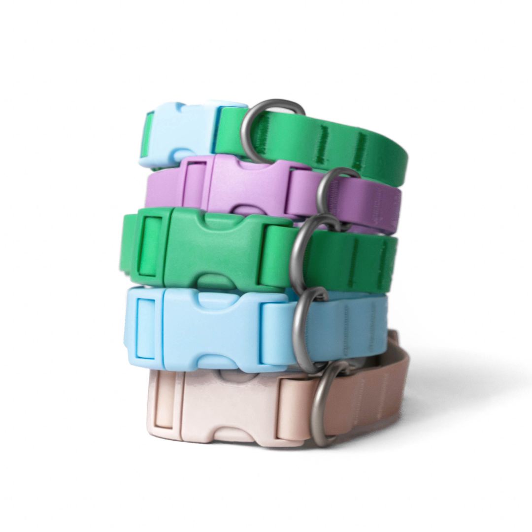 Waterproof & Adjustable Dog Collar - Green