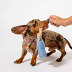 Comet's Tail Felt Toy