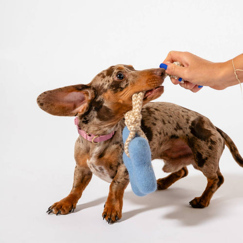 Awoo Comet's Tail Felt Dog Toy
