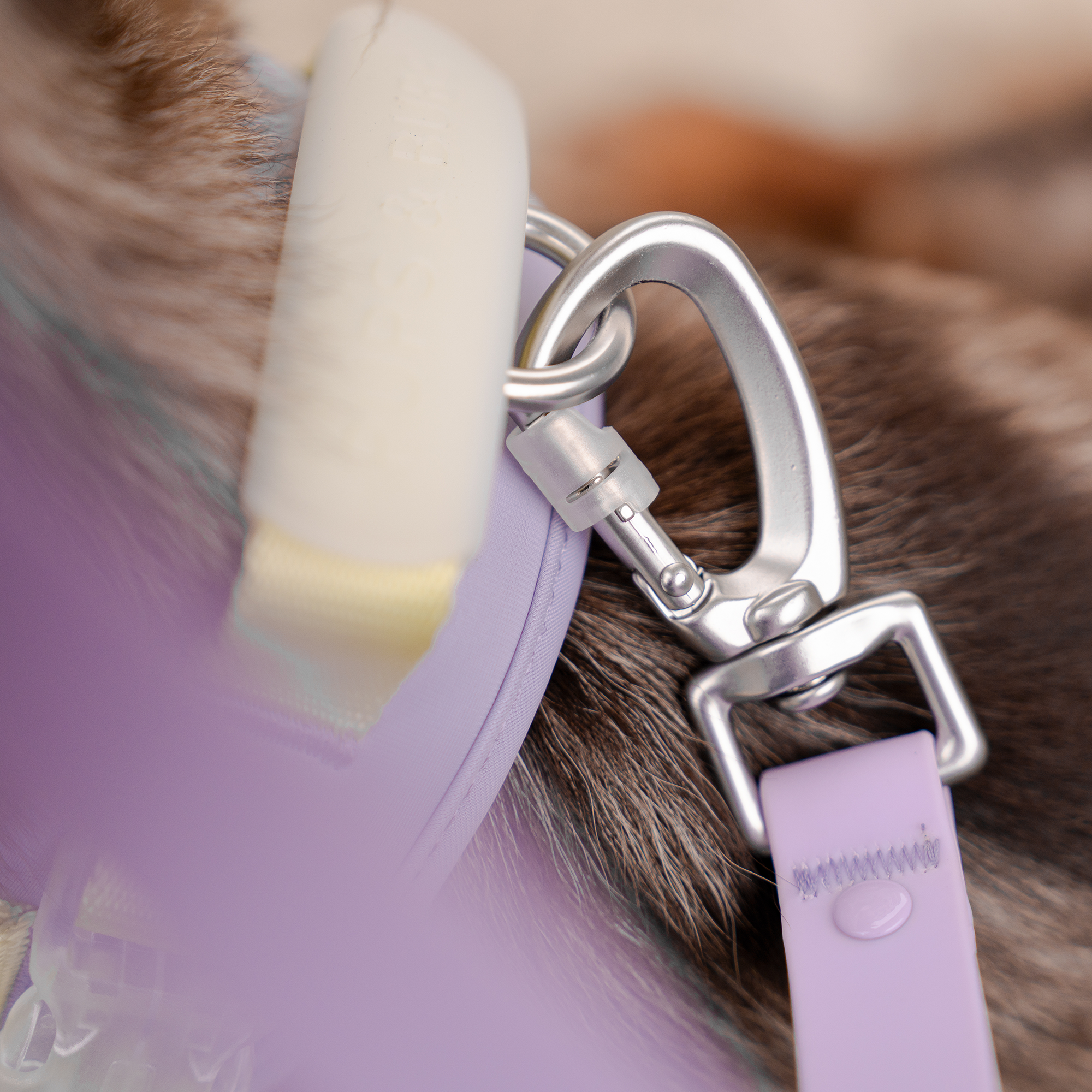 Roam Leash Lite – Multi-Way Waterproof Dog Leash