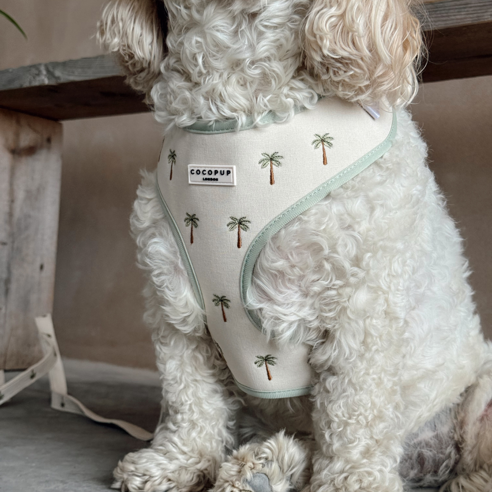 Cocopup London Palm Springs Adjustable Dog Harness