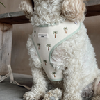 Cocopup London Palm Springs Adjustable Dog Harness