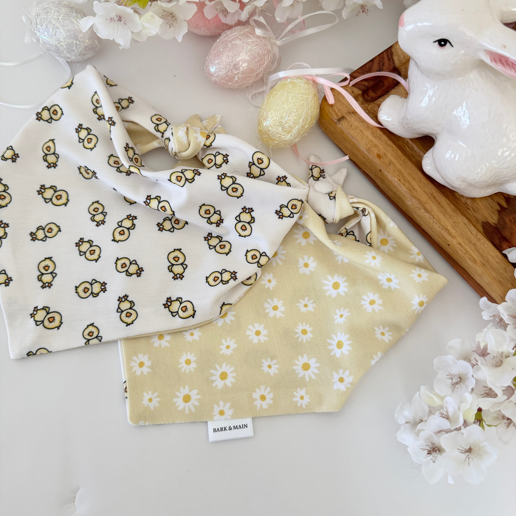 Bark & Main - Chicks and Daisies Reversible Dog Bandana