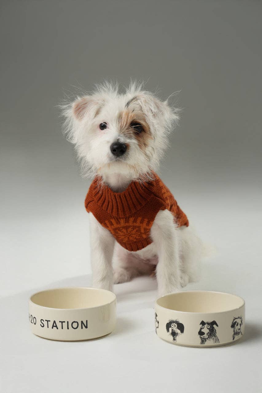 Ceramic Pet Bowl – Set of 2