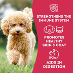 Duck & Cranberry Soft Dog Treats: Chewy & All-Natural