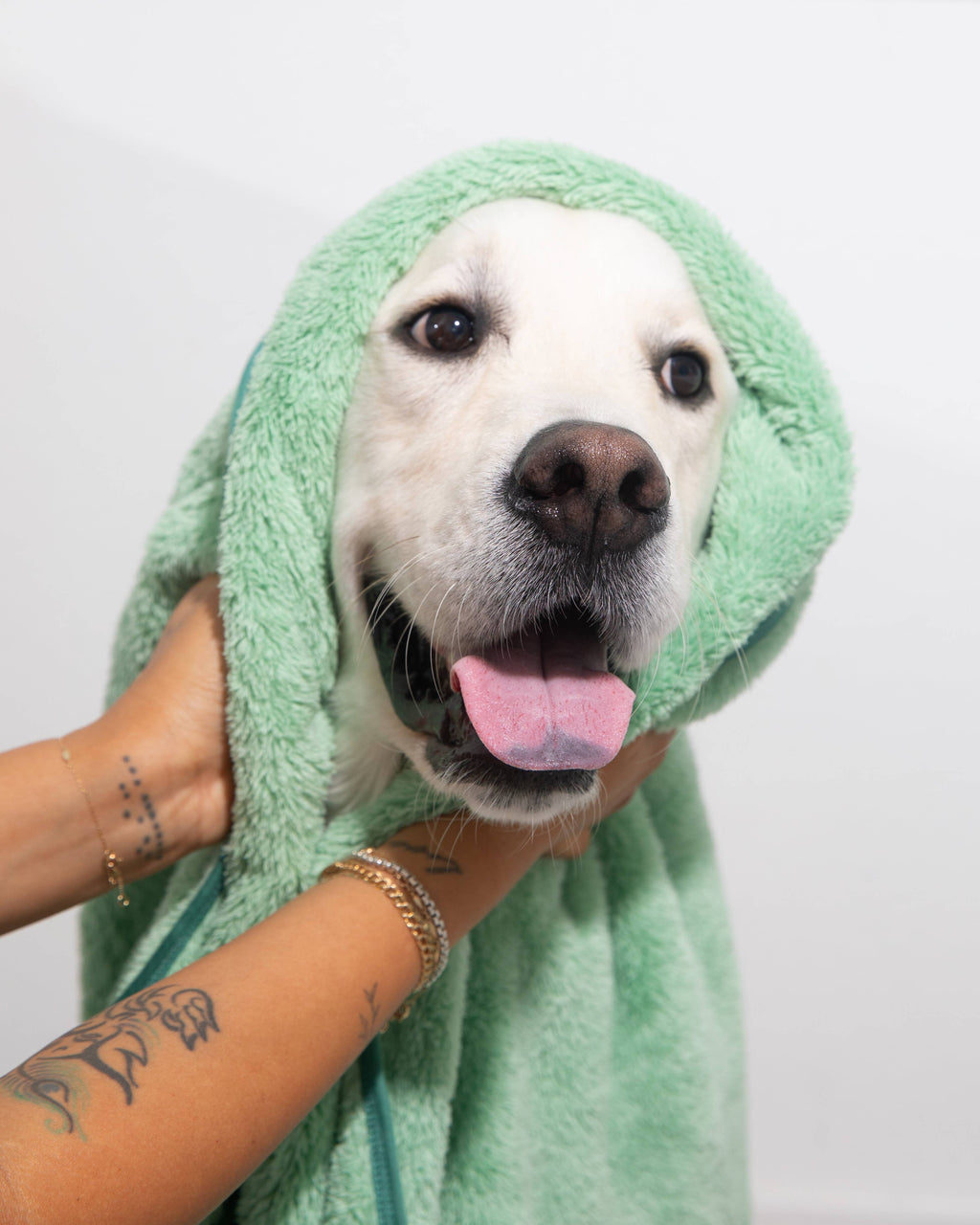 Two Tails Pet N' Dry Microfiber Pet Towel