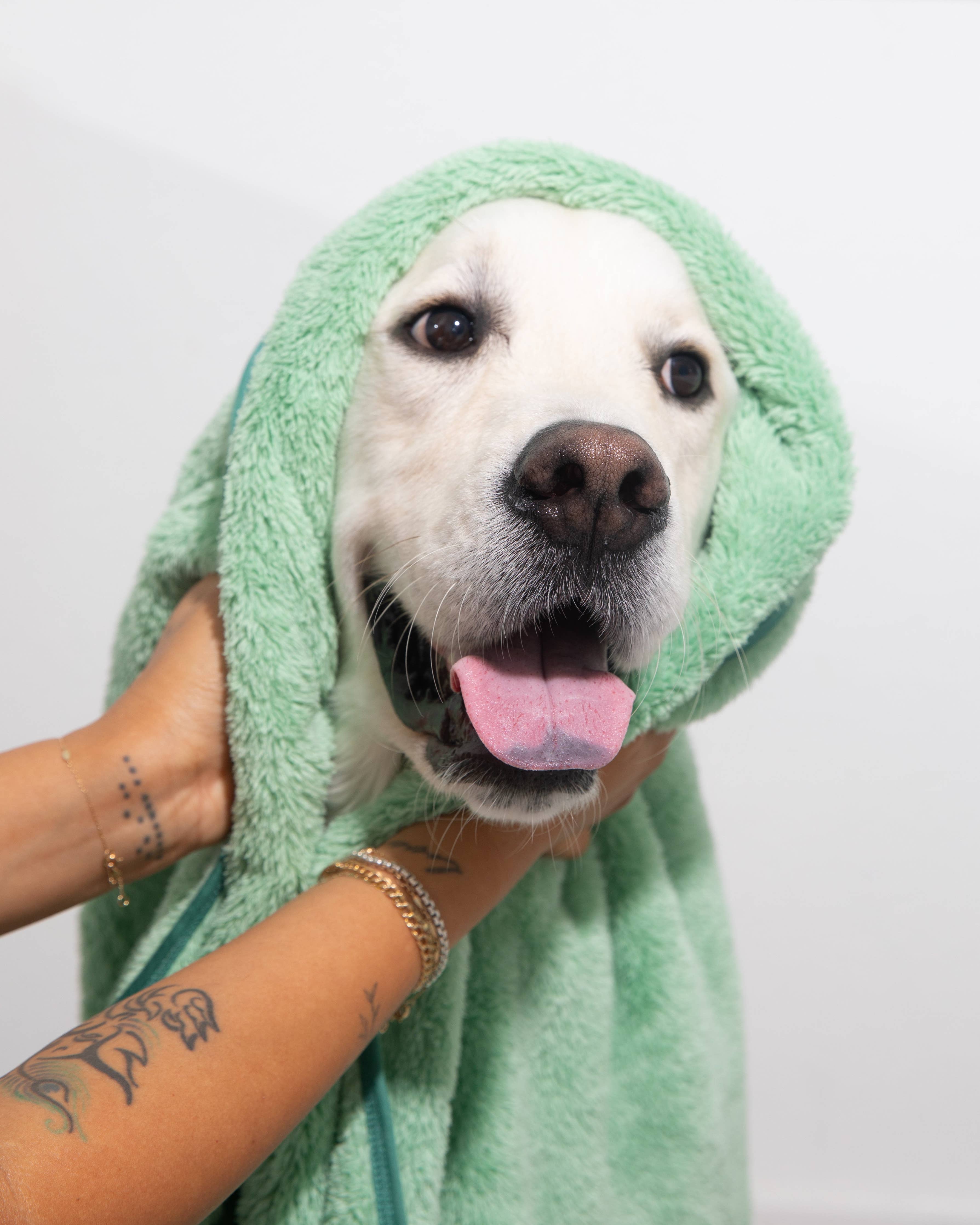 Two Tails Pet N' Dry Microfiber Pet Towel