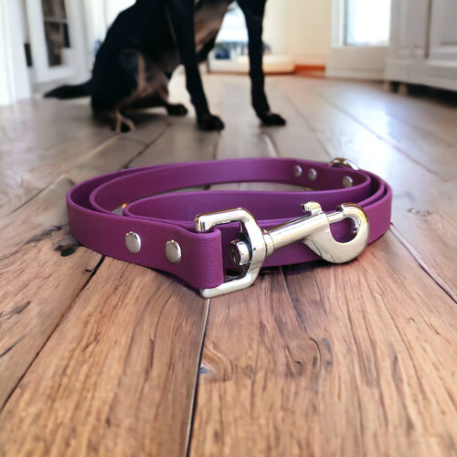 BioThane Dog Leash – 5ft, 3/4" Waterproof