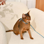 Cat Harness & Leash Set | Kitty