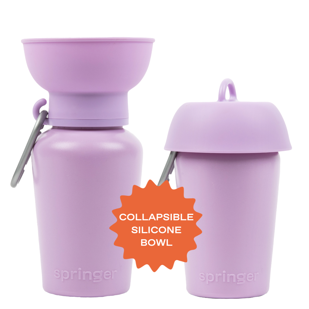 Springland Pets Flip Dog Travel Water Bottle – 20oz