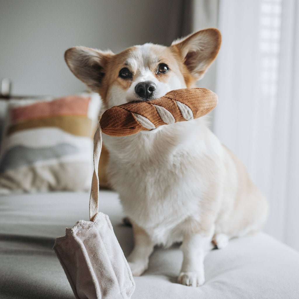 Mini Baguette – Enrichment Snuffle Toy (small pets)