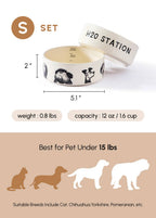 Ceramic Pet Bowl – Set of 2